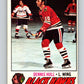 1977-78 O-Pee-Chee #225 Dennis Hull  Chicago Blackhawks  V14536