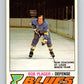 1977-78 O-Pee-Chee #285 Bob Plager  St. Louis Blues  V14967