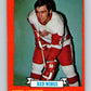 1973-74 Topps #49 Nick Libett  Detroit Red Wings  V16633