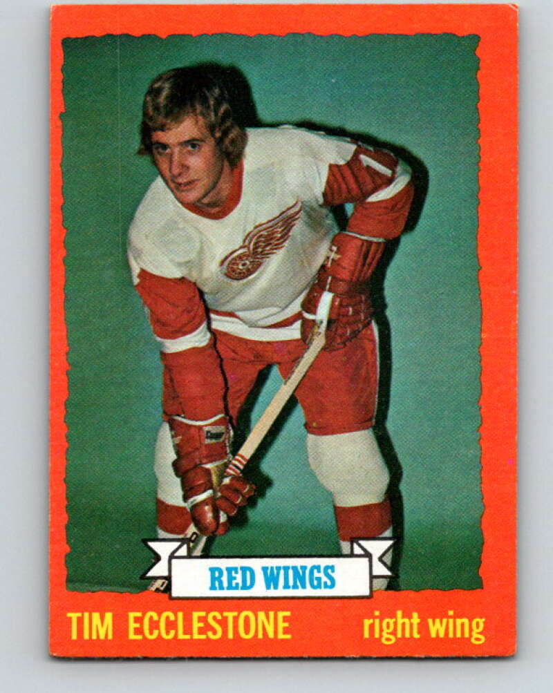 1973-74 Topps #124 Tim Ecclestone  Detroit Red Wings  V16669