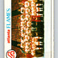 1978-79 O-Pee-Chee #192 Atlanta Flames TC   V23585