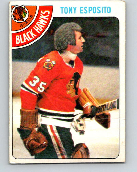 1978-79 O-Pee-Chee #250 Tony Esposito  Chicago Blackhawks  V24381