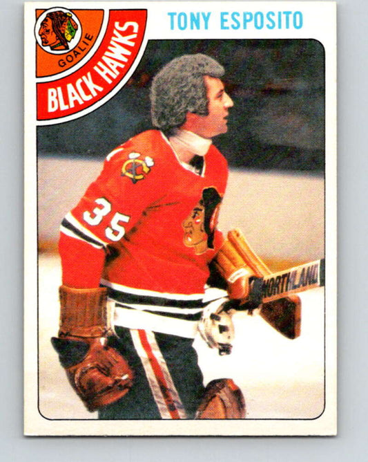 1978-79 O-Pee-Chee #250 Tony Esposito  Chicago Blackhawks  V24383