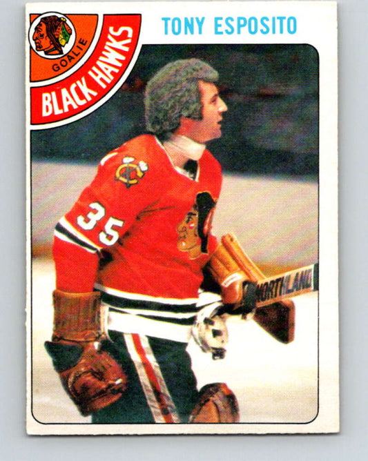 1978-79 O-Pee-Chee #250 Tony Esposito  Chicago Blackhawks  V24387