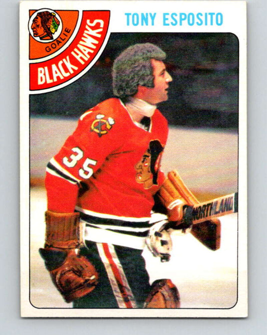 1978-79 O-Pee-Chee #250 Tony Esposito  Chicago Blackhawks  V24388