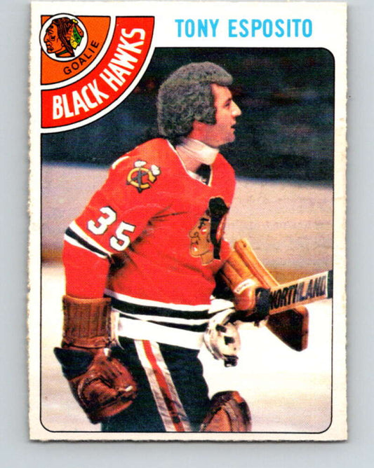 1978-79 O-Pee-Chee #250 Tony Esposito  Chicago Blackhawks  V24389