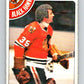 1978-79 O-Pee-Chee #250 Tony Esposito  Chicago Blackhawks  V24391