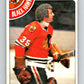 1978-79 O-Pee-Chee #250 Tony Esposito  Chicago Blackhawks  V24393