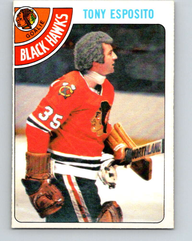 1978-79 O-Pee-Chee #250 Tony Esposito  Chicago Blackhawks  V24395