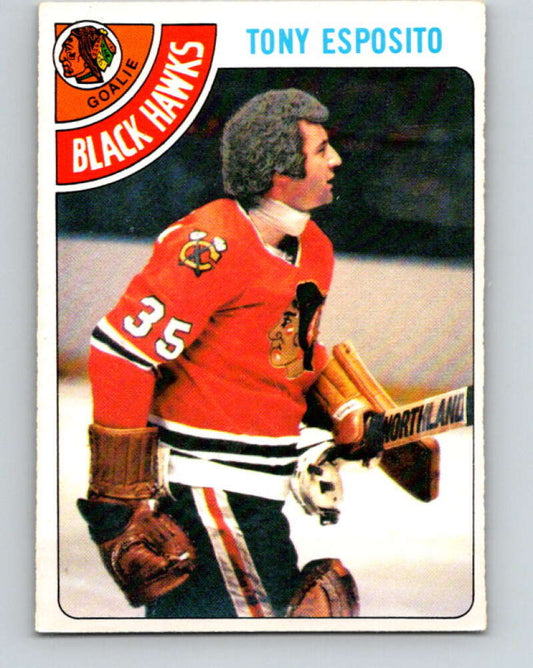 1978-79 O-Pee-Chee #250 Tony Esposito  Chicago Blackhawks  V24396