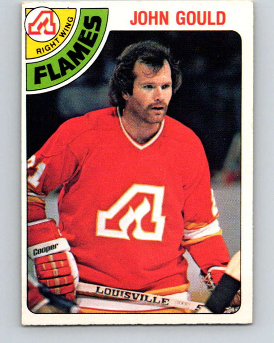 1978-79 O-Pee-Chee #309 John Gould  Atlanta Flames  V25206