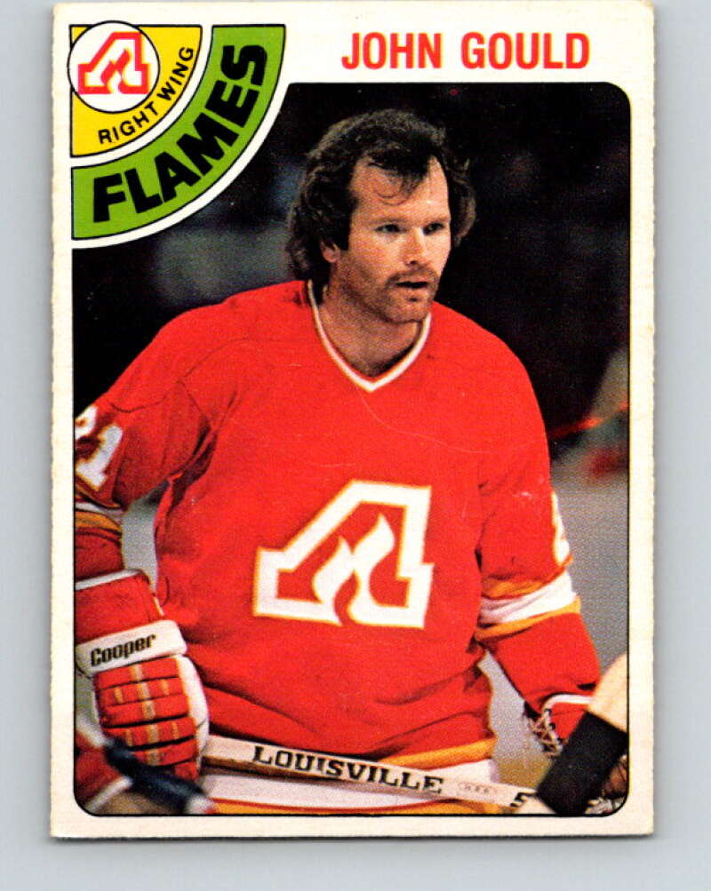 1978-79 O-Pee-Chee #309 John Gould  Atlanta Flames  V25209
