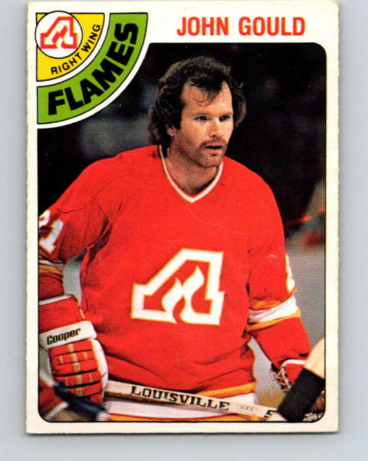 1978-79 O-Pee-Chee #309 John Gould  Atlanta Flames  V25209