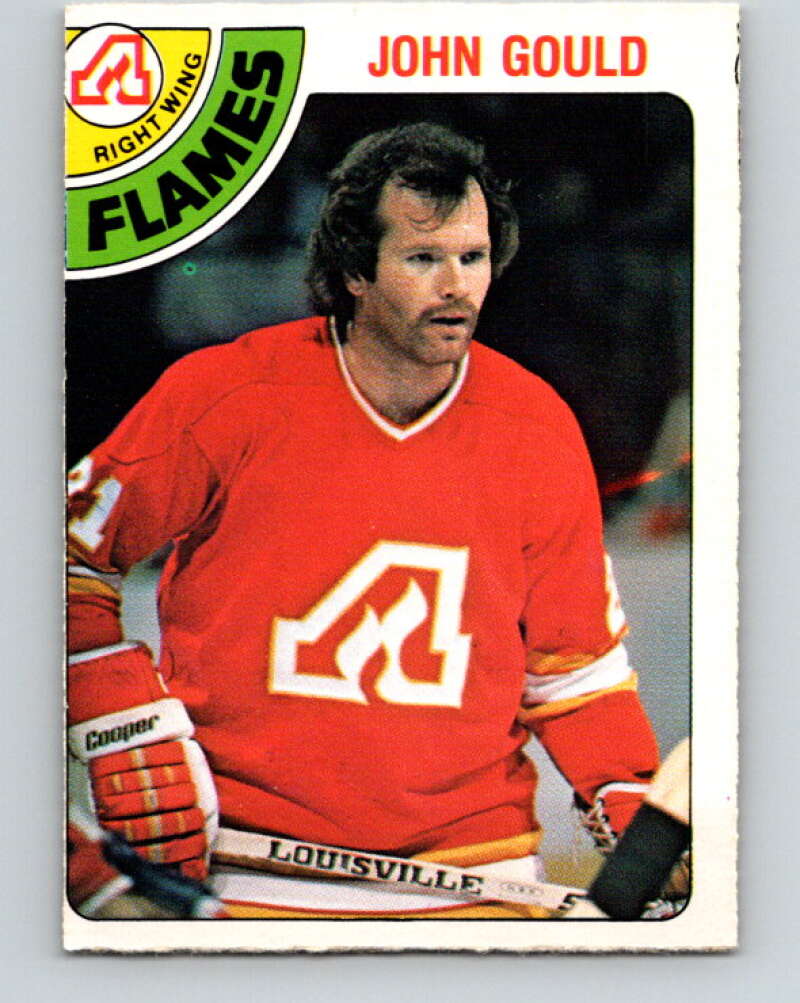 1978-79 O-Pee-Chee #309 John Gould  Atlanta Flames  V25211