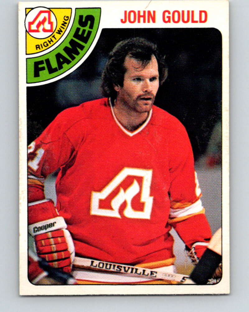 1978-79 O-Pee-Chee #309 John Gould  Atlanta Flames  V25212