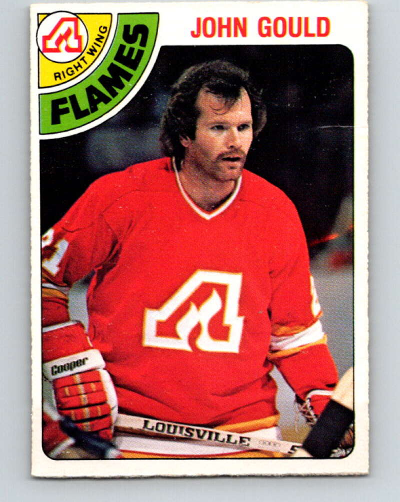 1978-79 O-Pee-Chee #309 John Gould  Atlanta Flames  V25213