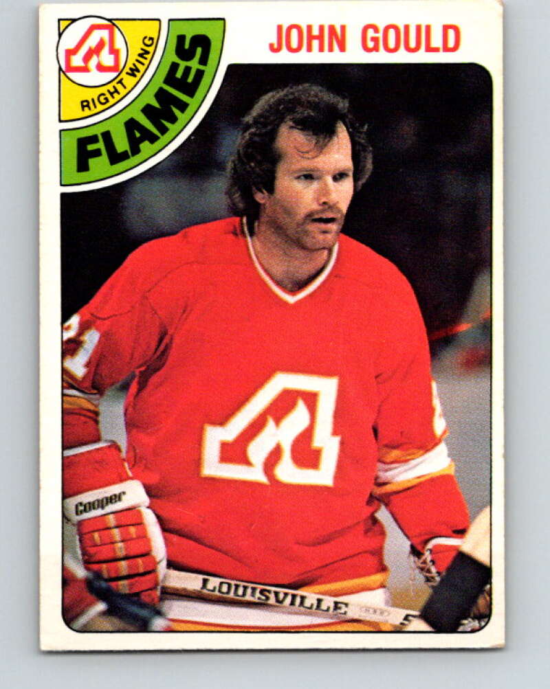 1978-79 O-Pee-Chee #309 John Gould  Atlanta Flames  V25217