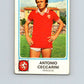 1978-79  Panini Calciatori Soccer #221 Antonio Ceccarini  V28313