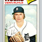 1977 O-Pee-Chee #212 Vern Ruhle  Detroit Tigers  V29251