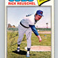 1977 O-Pee-Chee #214 Rick Reuschel  Chicago Cubs  V29254