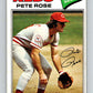 1977 O-Pee-Chee #240 Pete Rose  Cincinnati Reds  V29321