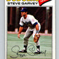 1977 O-Pee-Chee #255 Steve Garvey  Los Angeles Dodgers  V29346