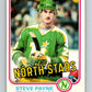 1981-82 O-Pee-Chee #166 Steve Payne  Minnesota North Stars  V30638