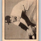 1952 Parkhurst #25 Ed Stevens  Toronto Maple Leafs  V32391