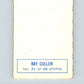 1970-71 O-Pee-Chee Deckle #31 Ray Cullen   V33489
