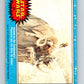 1977 OPC Star Wars #20 Hunted by the Sandpeople!   V33628