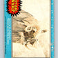 1977 OPC Star Wars #20 Hunted by the Sandpeople!   V33630
