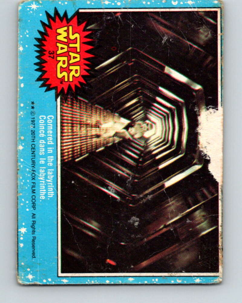 1977 OPC Star Wars #37 Cornered in the labyrinth   V33735