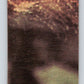 1977 OPC Star Wars #90 Honoring the victors!   V34113