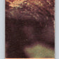 1977 OPC Star Wars #90 Honoring the victors!   V34117