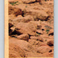 1977 OPC Star Wars #99 Ben with the light sabre!   V34181