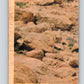 1977 OPC Star Wars #99 Ben with the light sabre!   V34182
