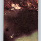 1977 OPC Star Wars #104 Luke's uncle and aunt   V34226