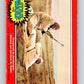 1977 OPC Star Wars #112 Threatened by Sandpeople!   V34278