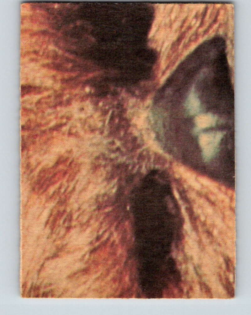 1977 OPC Star Wars #114 Planning to escape!   V34295