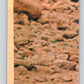 1977 OPC Star Wars #117 Chewbacca poses as a prisoner!   V34319