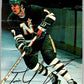 1977-78 O-Pee-Chee Glossy #22 Tim Young, Minnesota North Stars  V35605
