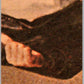 1978 O-Pee-Chee Happy Days #17 Fonzie's diary  V35728