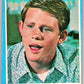 1981 Topps Happy Days #19 I've Got a Date  V35863