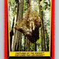 1983 OPC Star Wars Return Of The Jedi #78 Captured by the Ewoks   V42498