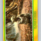 1980 OPC The Empire Strikes Back #308 The Wizard of Dagobah   V43225