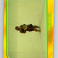1980 OPC The Empire Strikes Back #310 Han on the Icy Wasteland   V43226