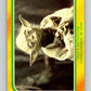 1980 OPC The Empire Strikes Back #331 Yoda's Instruction   V43268