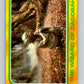 1980 Topps The Empire Strikes Back #308 The Wizard of Dagobah   V43833