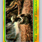 1980 Topps The Empire Strikes Back #308 The Wizard of Dagobah   V43834