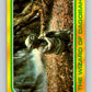 1980 Topps The Empire Strikes Back #308 The Wizard of Dagobah   V43835